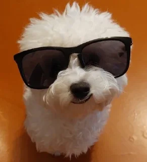 😎 emoji лялюся Telegram sticker 16 of 74