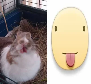 🌟 emoji sobachko kotik @v1olon Telegram sticker 18 of 67