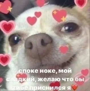 🤪 emoji Лесная ягодка Telegram sticker 15 of 59