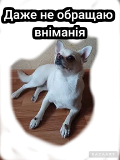 🌟 emoji Писюльки Telegram sticker 20 of 23