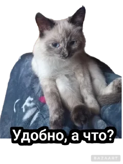 🌟 emoji Писюльки Telegram sticker 16 of 23