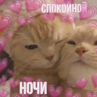 💝 emoji Лесная ягодка Telegram sticker 13 of 59