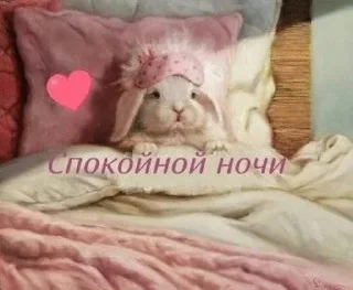 💚 emoji Лесная ягодка Telegram sticker 10 of 59