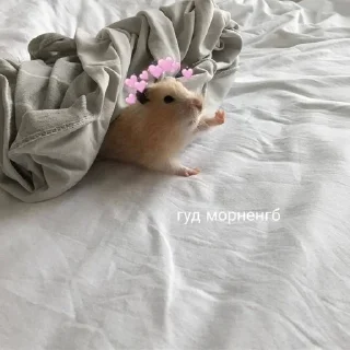 🌄 emoji Лесная ягодка Telegram sticker 9 of 59