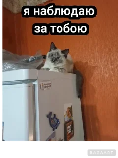 🌟 emoji Писюльки Telegram sticker 15 of 23