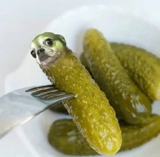 🥒 emoji Слив Собачки Нагибатора! 🔞 Telegram sticker 7 of 16