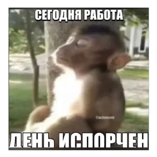 🫥 emoji pupsikiesmemes5 Telegram sticker 10 of 50