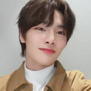 ☀ emoji 𖠗 #jeongin ♡̸ @drkflw Telegram sticker 21 of 40