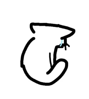 🌟 emoji Cats Telegram sticker 24 of 84