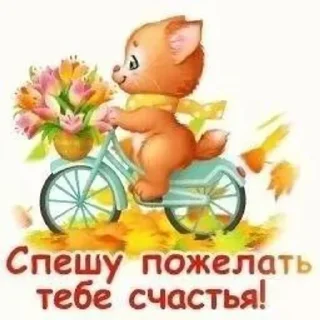 🐱 emoji Открыточки Telegram sticker 6 of 51