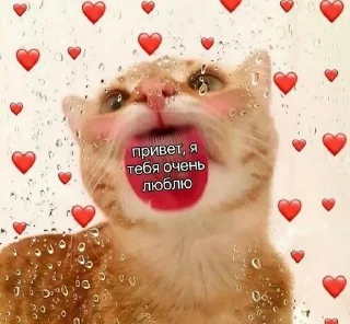 Sticker from lovesss
