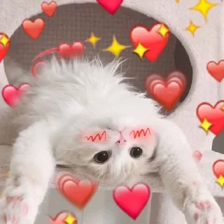 Sticker from Ꮶᴏᴛиᴋи. || 𝚅𝚒𝚔𝚒0𝚖𝚒𝚡