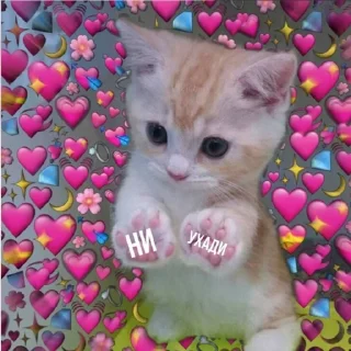 😾 emoji Ꮶᴏᴛиᴋи. || 𝚅𝚒𝚔𝚒0𝚖𝚒𝚡 Telegram sticker 6 of 13