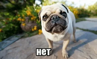 ⛔ emoji ещё посидим 2 Telegram sticker 15 of 120