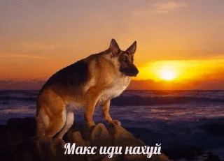 🐕 emoji ещё посидим 2 Telegram sticker 20 of 120