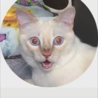 🤯 emoji Сын Telegram sticker 22 of 35