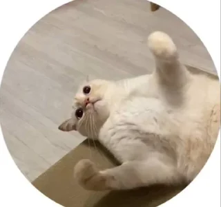 😡 emoji Сын Telegram sticker 19 of 35