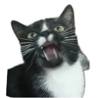 😡 emoji Roma Telegram sticker 9 of 72
