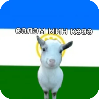 ❤ emoji привіт ти коза Telegram sticker 12 of 17