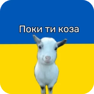 ❤ emoji привіт ти коза Telegram sticker 8 of 17