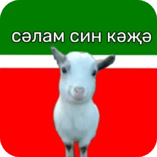 😇 emoji привіт ти коза Telegram sticker 15 of 17