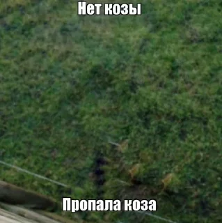 🤯 emoji привіт ти коза Telegram sticker 7 of 17