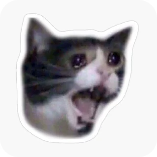 🌟 emoji Memes Telegram sticker 5 of 50