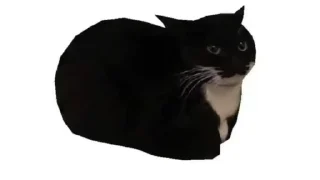 Sticker from Memes