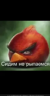 Sticker from не пикми пикчи