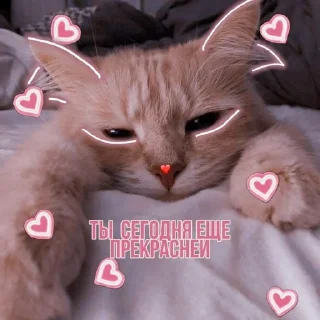 🌟 emoji You Telegram sticker 5 of 13