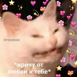 🌟 emoji You Telegram sticker 9 of 13