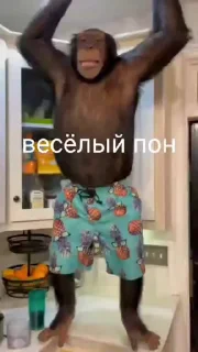 😁 emoji Лютый пон Telegram sticker 17 of 41