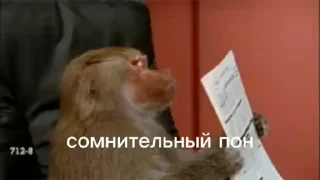 🤨 emoji Лютый пон Telegram sticker 5 of 41