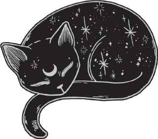 🌟 emoji Black cats Telegram sticker 6 of 28