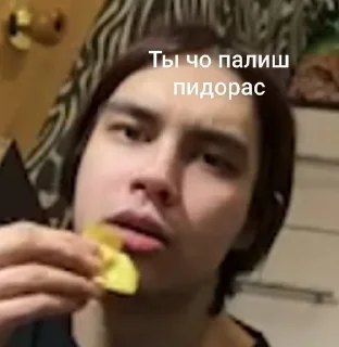 🫣 emoji solevoi Yasher nahui Telegram sticker 24 of 39