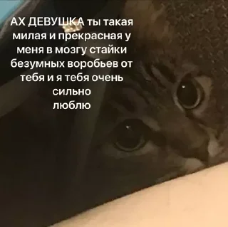 ❤️ emoji я тебя люблю Telegram sticker 13 of 34