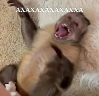 🌟 emoji Mymoon 2🐒 Telegram sticker 16 of 80