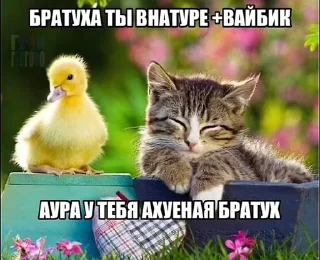 🌟 emoji А я на морі :: @Damkca @fStikBot Telegram sticker 24 of 50
