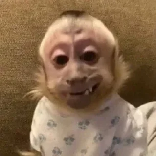 😁 emoji вздор Telegram sticker 18 of 62