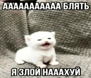 😡 emoji Мемы Telegram sticker 7 of 84