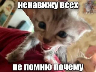 🌟 emoji #ячмо Telegram sticker 7 of 33