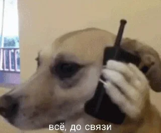 👋 emoji Хули нам тракторам https://t.m Telegram sticker 8 of 64