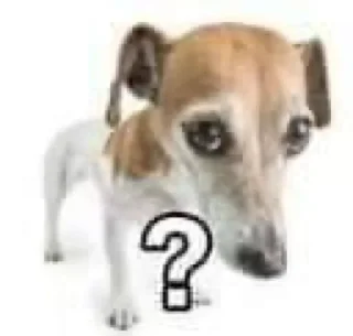 ❓ emoji катя самая прекрасная женщина Telegram sticker 6 of 43