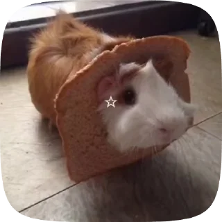 🍞 emoji Kittyy Telegram sticker 10 of 46