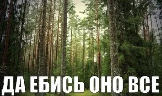 🌟 emoji очуметь блин Telegram sticker 9 of 110