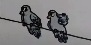 🐦 emoji Любимое место; Темный лес Telegram sticker 14 of 120