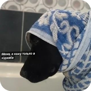 🔳 emoji Май бебі Telegram sticker 19 of 19