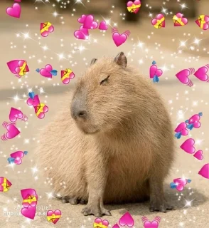 🥰 emoji capybara Telegram sticker 6 of 6