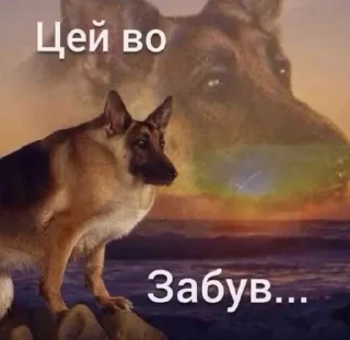 😫 emoji @quilxxe стікерочки Telegram sticker 10 of 41