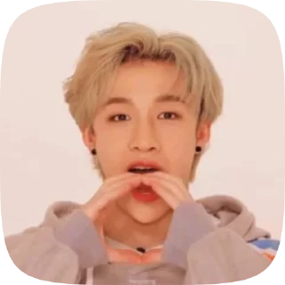 💗 emoji Bang Chan 🫰🏻 by @mmononoaware Telegram sticker 22 of 73
